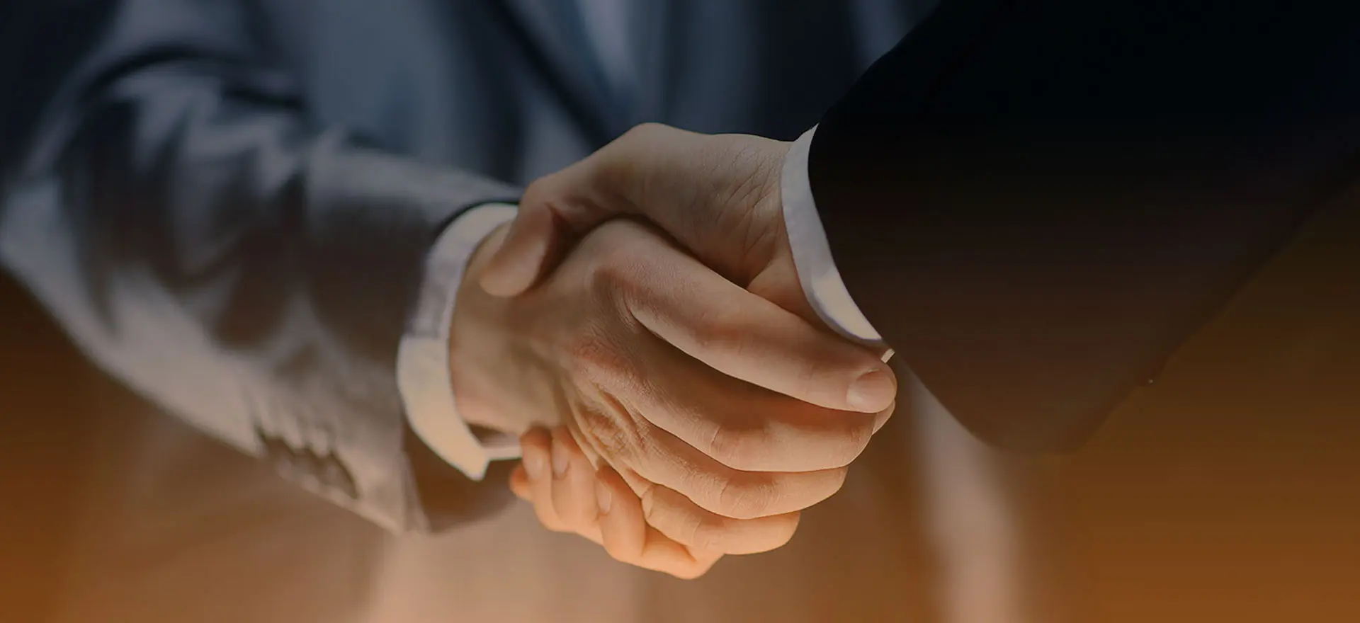 D&V Business Consulting Promise to Deliver Good Results