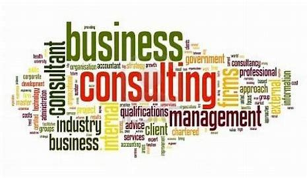 Key Services Offered by D&V Business Consulting
