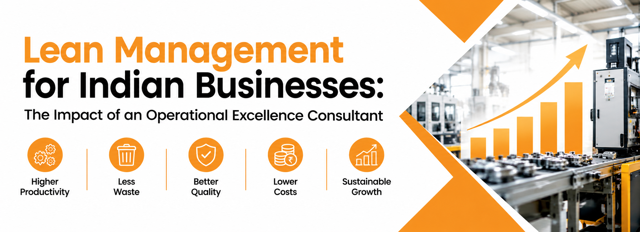 Lean Management for Indian Businesses: The Impact of an Operational Excellence Consultant