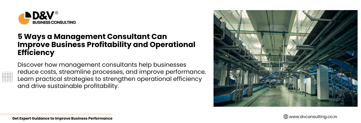 5 Ways a Management Consultant Can Improve Business Profitability and Operational Efficiency