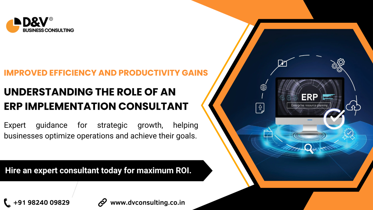 The Value of an ERP Consultant - Maximizing Your Return on Investment