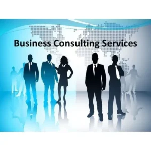 Business Consulting