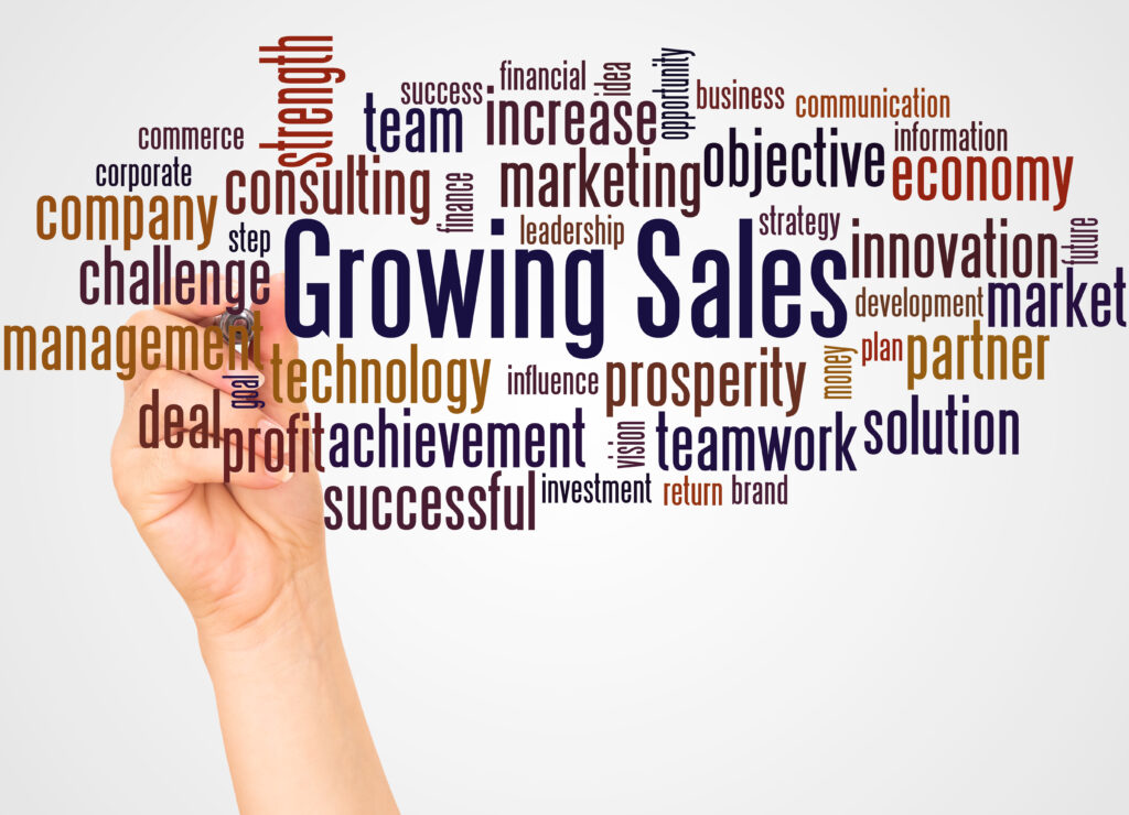 Sales and Marketing Consulting for MSMEs in India
