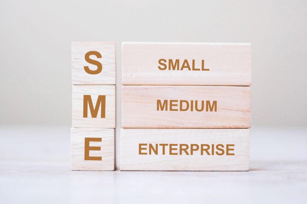 Why MSMEs Need Business Consulting