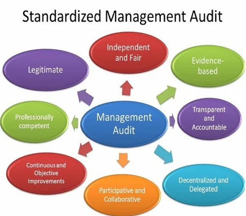 Management Audit Enhancing Business Performance