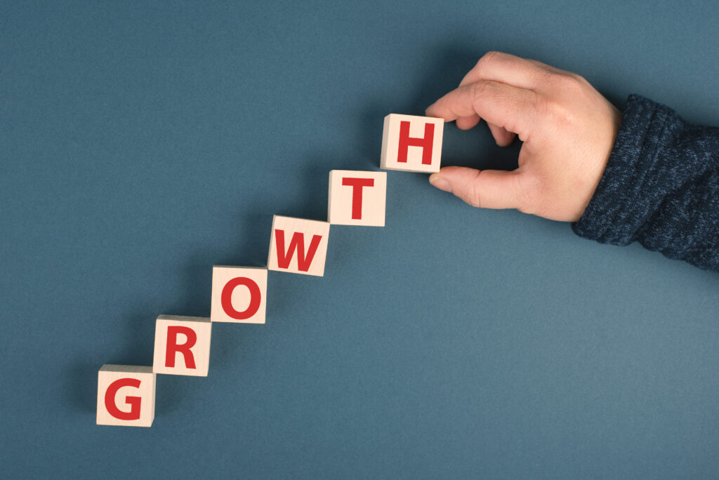 The MSME Growth Maturity Model