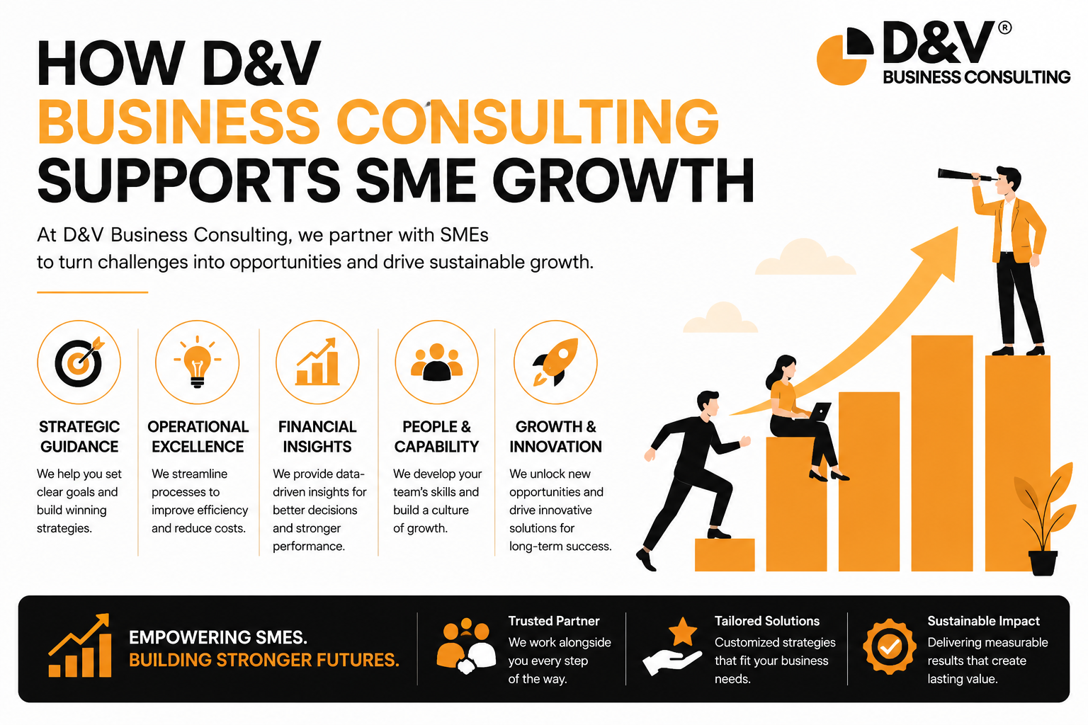 How D&V Business Consulting Supports SME Growth