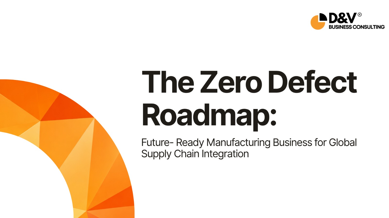 White Paper: Zero Defect Roadmap | D&V Business Consulting